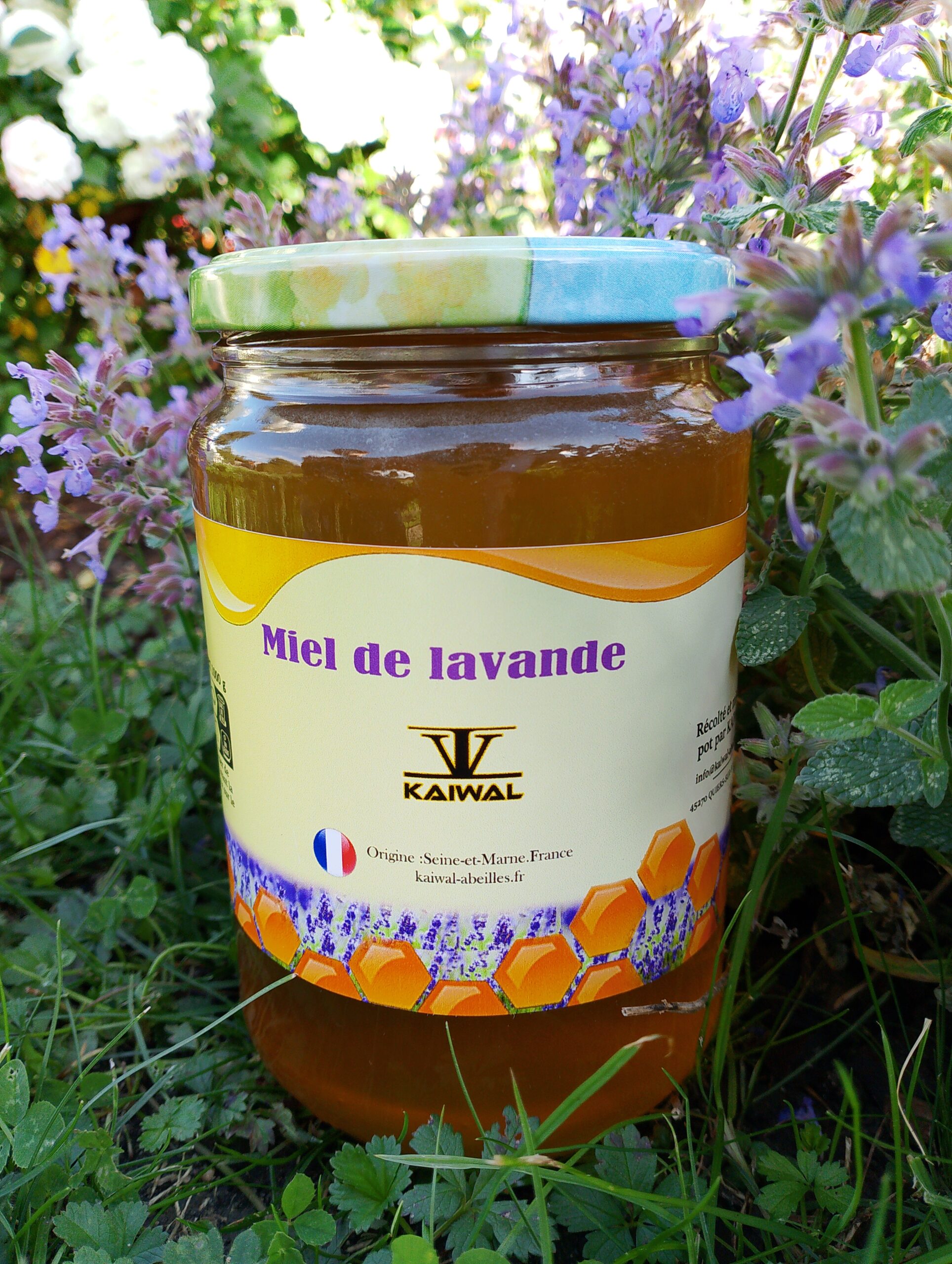 Miel toutes fleurs - miel français - miel de printemps innovant